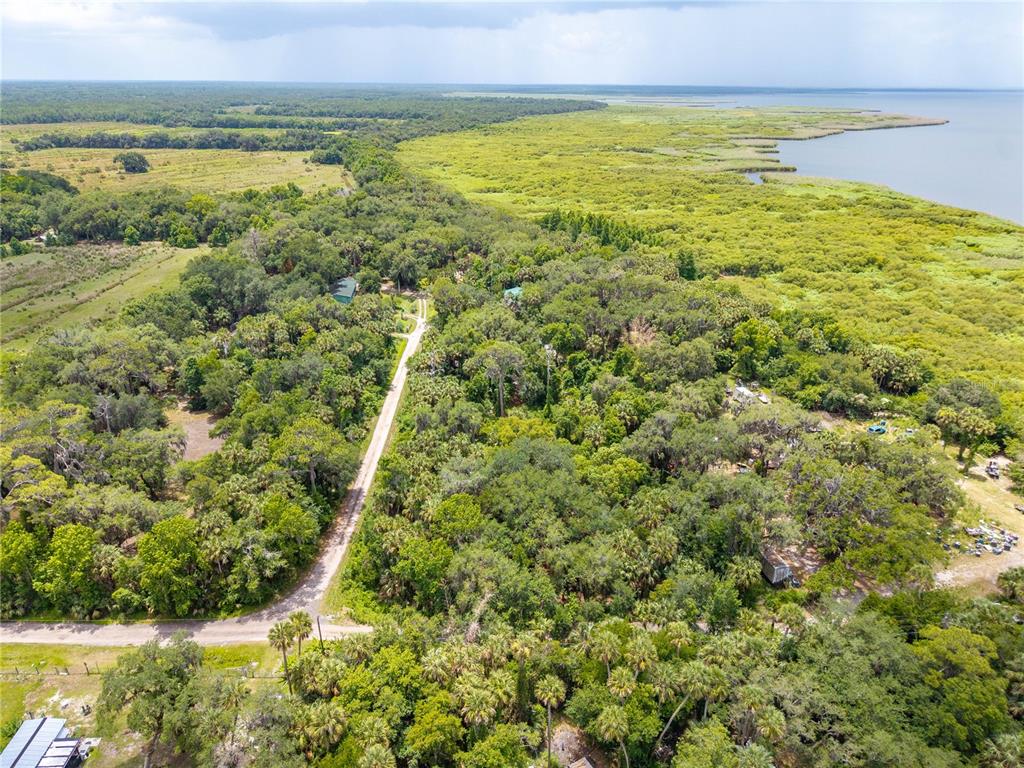 An aerial view shows a wooded property with a long driveway leading toward a large lake — SWAMP LANE, GENEVA, FL
