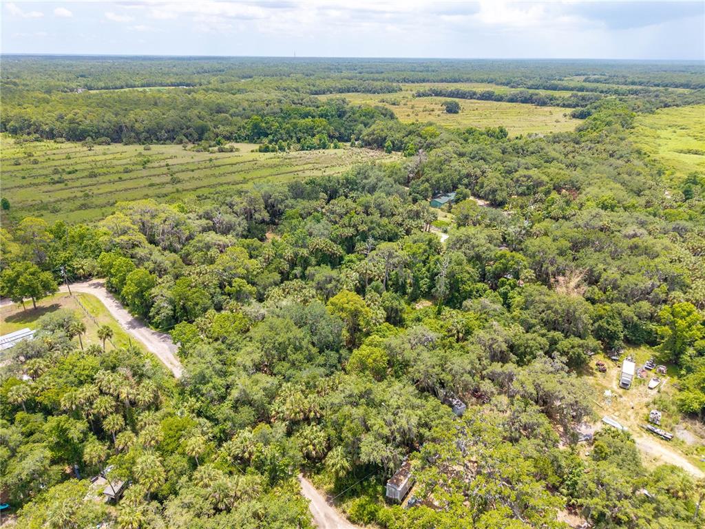 An aerial view shows a wooded property with a dirt road and scattered small structures — SWAMP LANE, GENEVA, FL