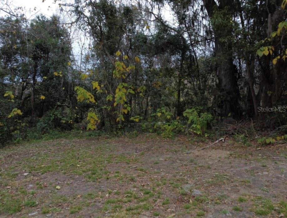 A view of a grassy clearing leading to a dense, wooded area with mature trees — 0 NW 45 STREET, OCALA, FL
