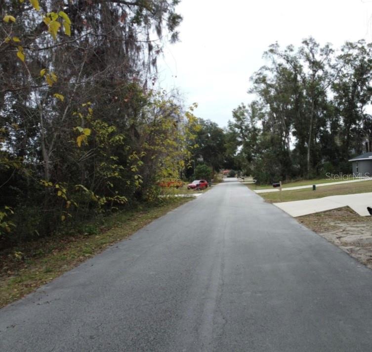 A paved residential street stretches forward, flanked by trees, vegetation, and a driveway — 0 NW 45 STREET, OCALA, FL
