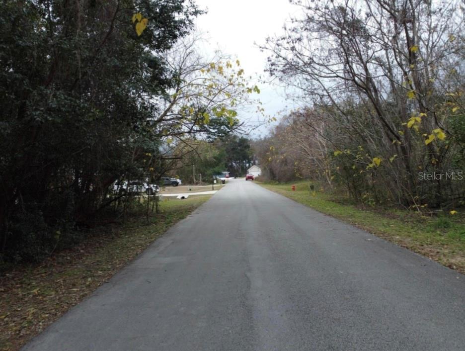 A paved road stretches into the distance, flanked by trees and sparse residential properties — 0 NW 45 STREET, OCALA, FL