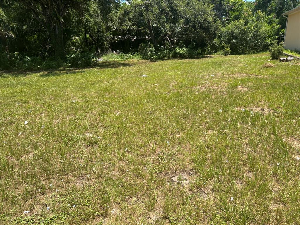 A grassy, undeveloped residential lot is bordered by mature trees and a neighboring house — 1904-1906 W BUSCH BOULEVARD, TAMPA, FL