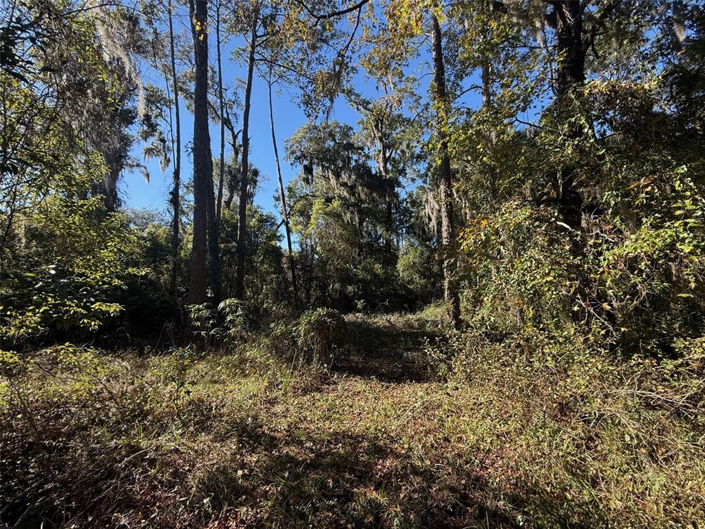 TBD NW 12TH STREET, GAINESVILLE, FL — photo 4 of 5