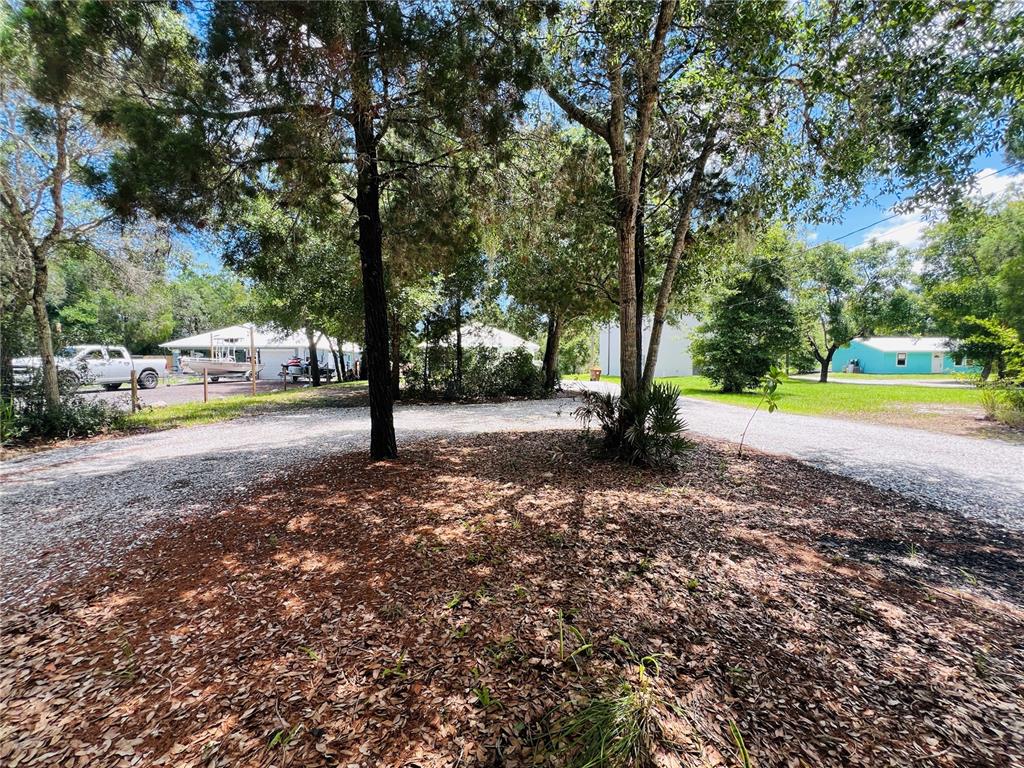 A gravel driveway winds through a wooded lot toward two small houses — 8170 130TH STREET, SEBASTIAN, FL
