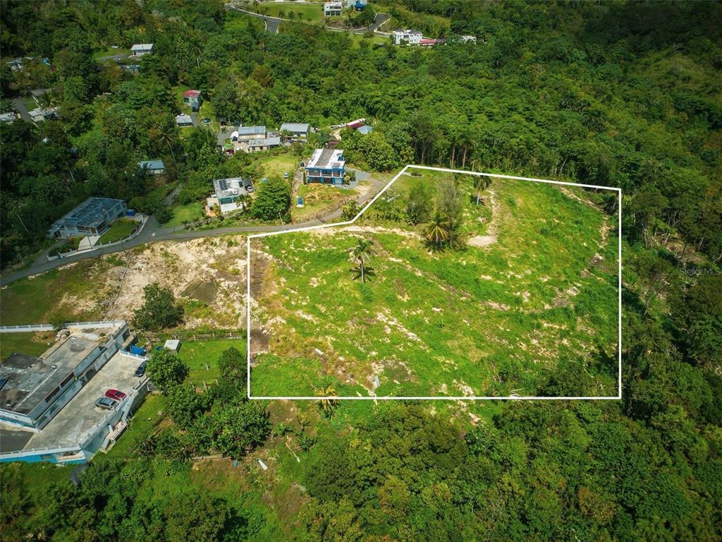 An aerial view shows a large, grassy, undeveloped plot of land outlined in white — PR-129 KM QUEBRADA, CAMUY, PR