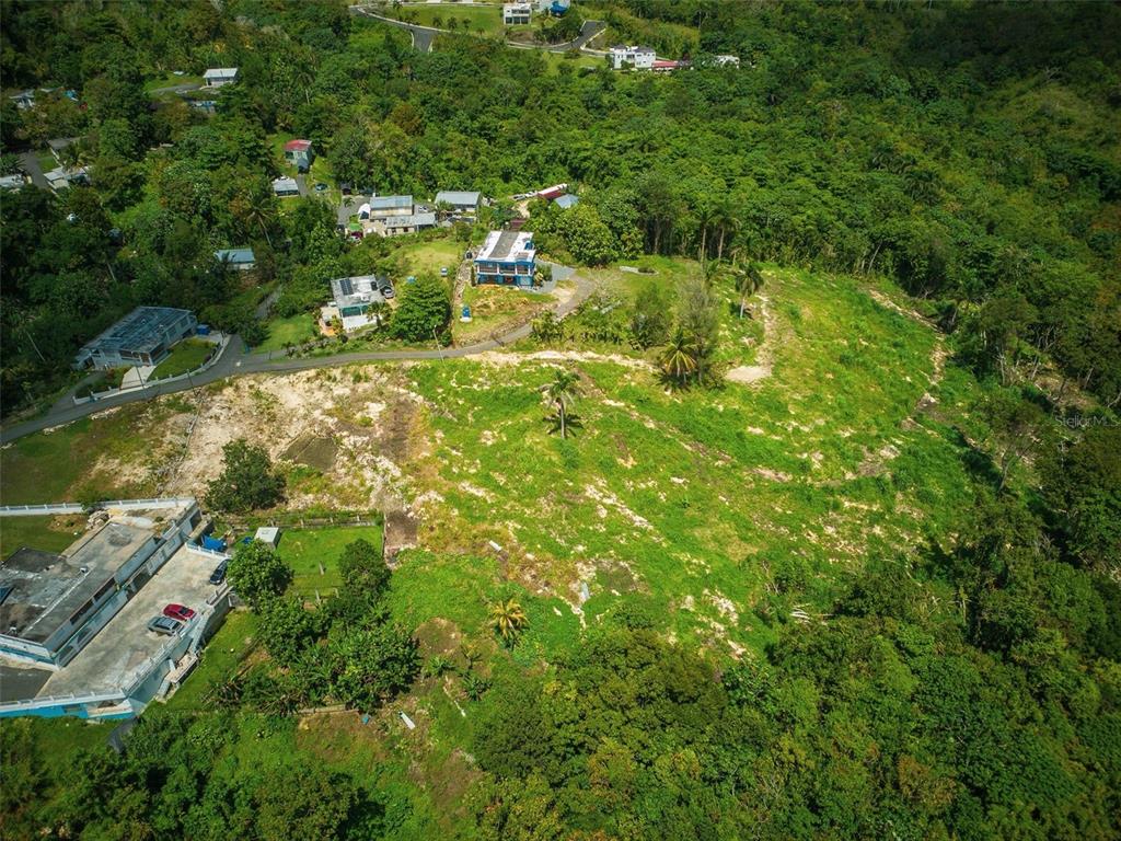 An aerial view shows a sloped, grassy lot surrounded by dense forest and nearby houses — PR-129 KM QUEBRADA, CAMUY, PR