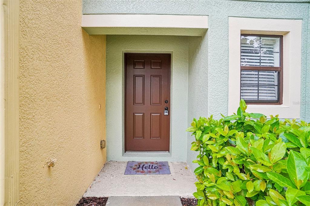 A brown front door with a welcome mat is set in a recessed entryway — 2516 OLEANDER LAKES DRIVE, BRANDON, FL