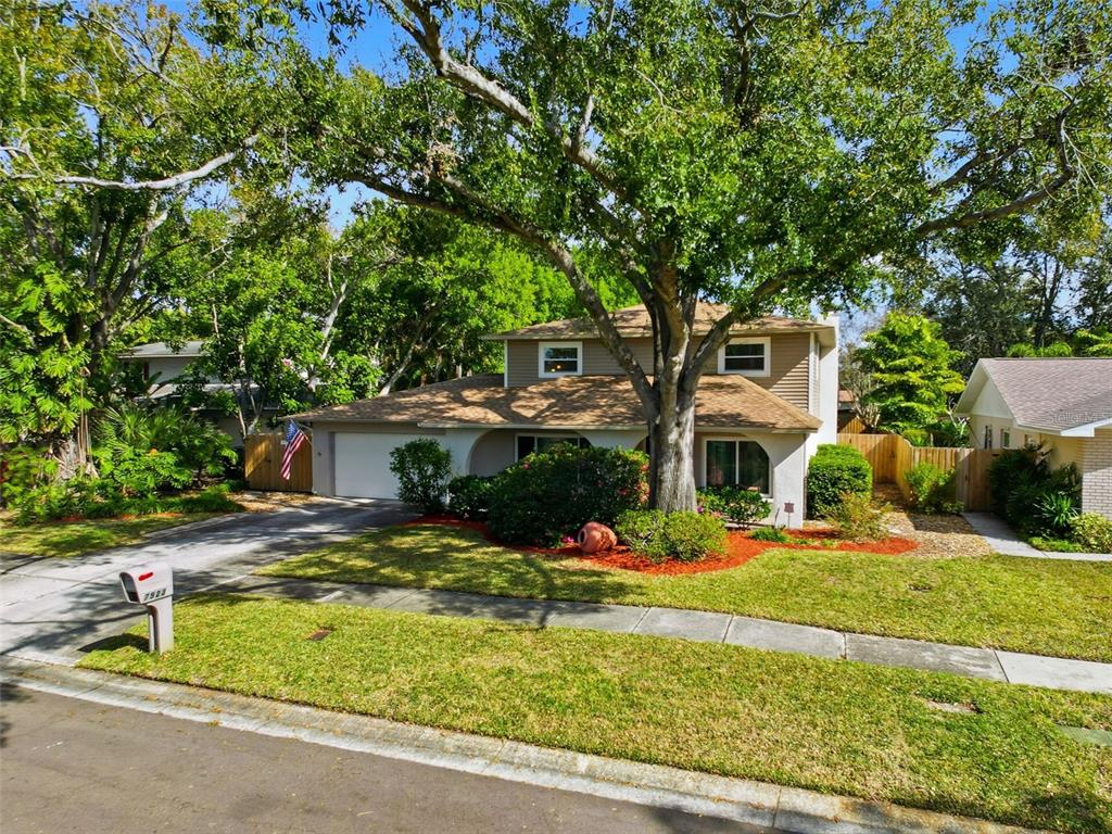 A two-story house with a tan exterior, a brown shingled roof, and a large tree — 7923 SINGING COURT PLACE, TAMPA, FL