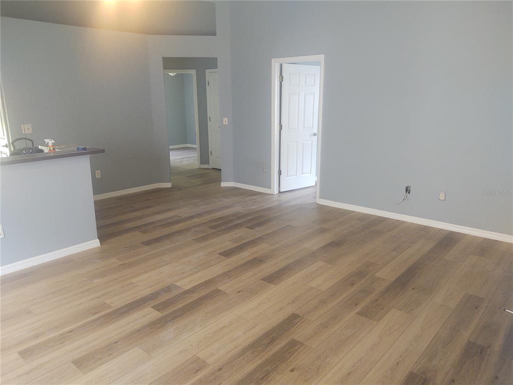 An interior view of a room with light blue walls and wood-look plank flooring — 5707 TANAGERLAKE ROAD, LITHIA, FL
