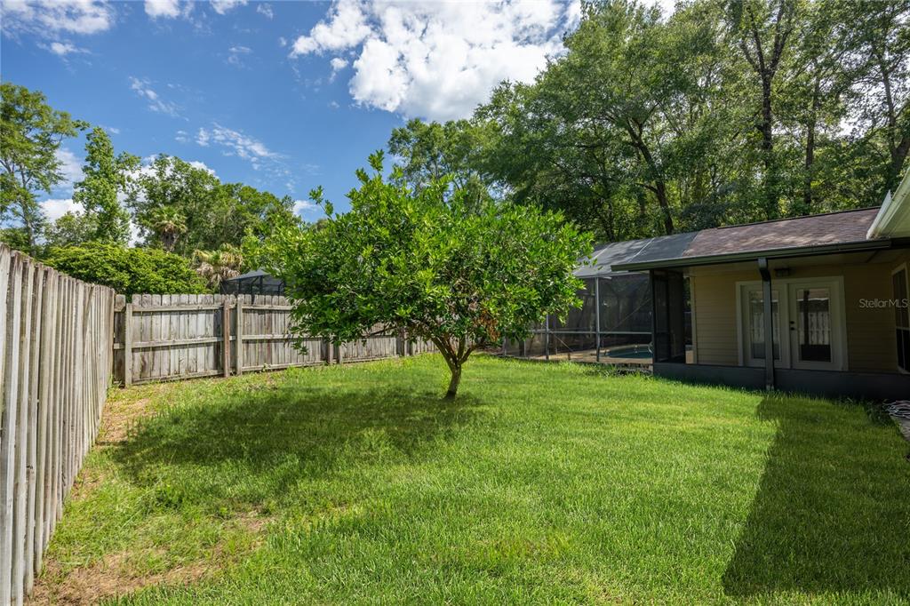 A grassy backyard features a central citrus tree, a wooden fence, and a screened-in patio — 11624 NW 13TH LANE, GAINESVILLE, FL