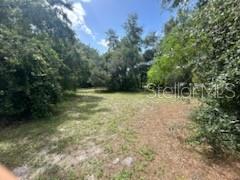 A grassy, tree-lined vacant lot under a bright blue sky — 3910 DUNN DRIVE, SARASOTA, FL