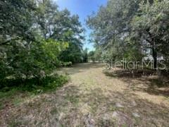 A grassy, tree-lined vacant lot under a clear blue sky — 3910 DUNN DRIVE, SARASOTA, FL