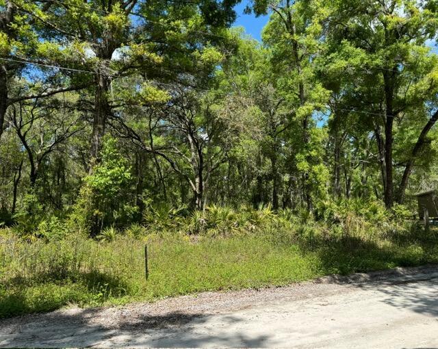 Tbd NE 472nd Avenue, FL 32680