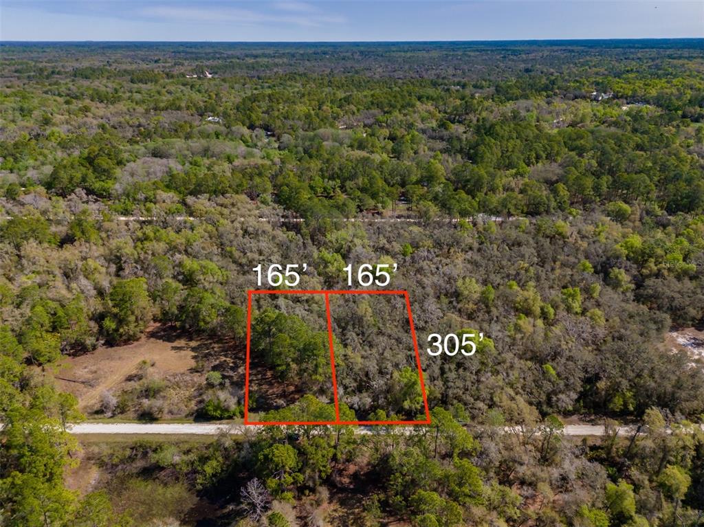 7252 SONIA AVENUE, WEBSTER, FL — photo 2 of 19