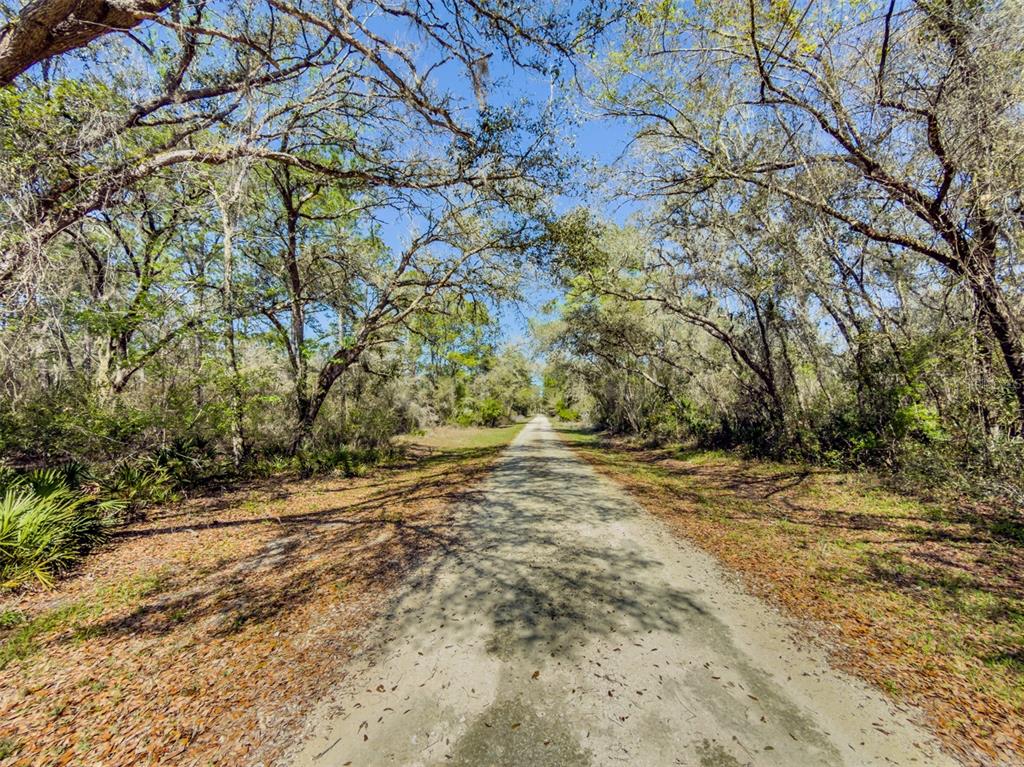 7252 SONIA AVENUE, WEBSTER, FL — photo 4 of 19