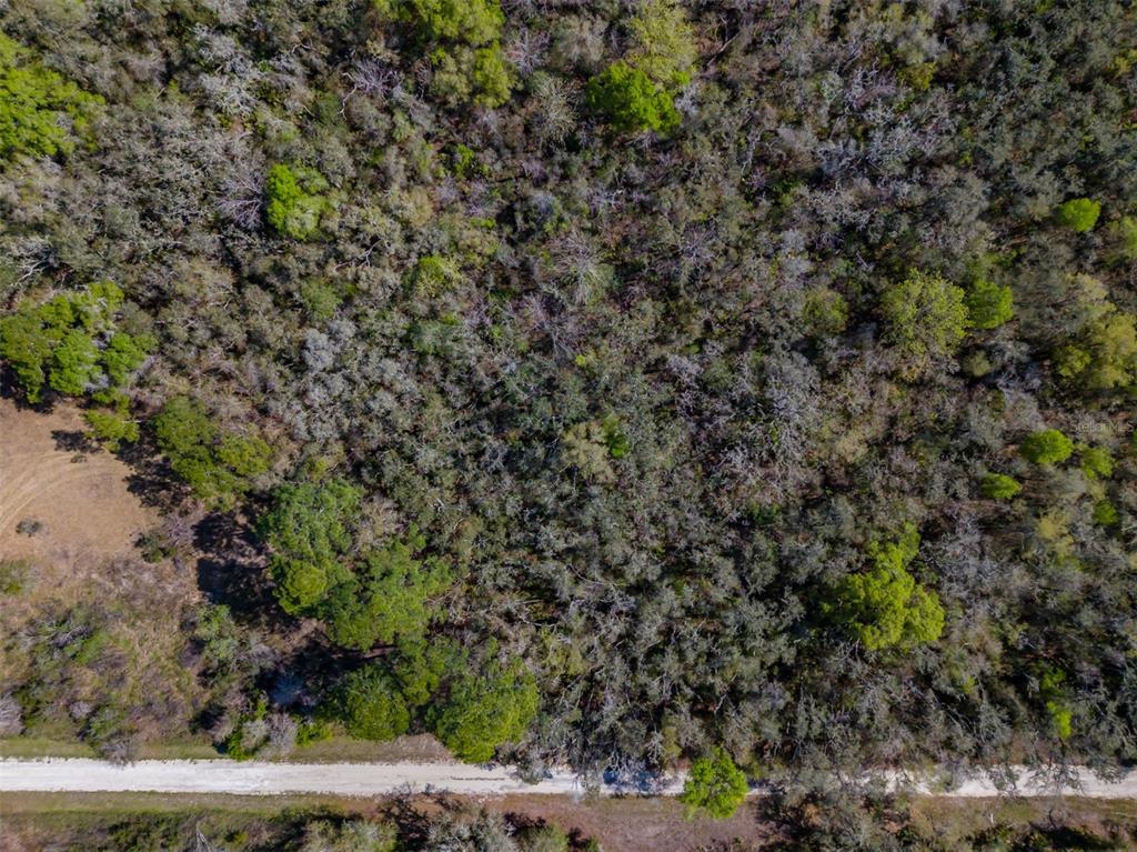 7252 SONIA AVENUE, WEBSTER, FL — photo 5 of 19