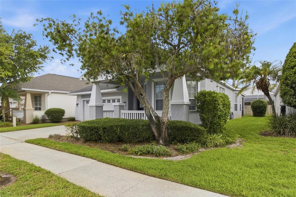 A single-story house with a front porch, a large tree, and a manicured lawn — 4613 CORSAGE DRIVE, LUTZ, FL