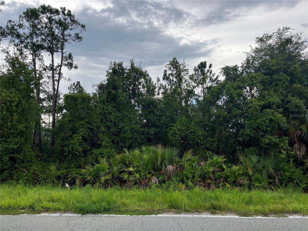 A view of a densely wooded, undeveloped lot bordering a paved road — 6883 ST JOHNS AVENUE, PALATKA, FL