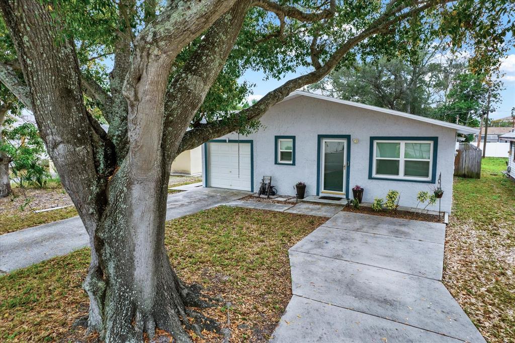 A single-story house with a white stucco exterior, a small garage, and a large tree — 4432 73RD AVENUE N, PINELLAS PARK, FL