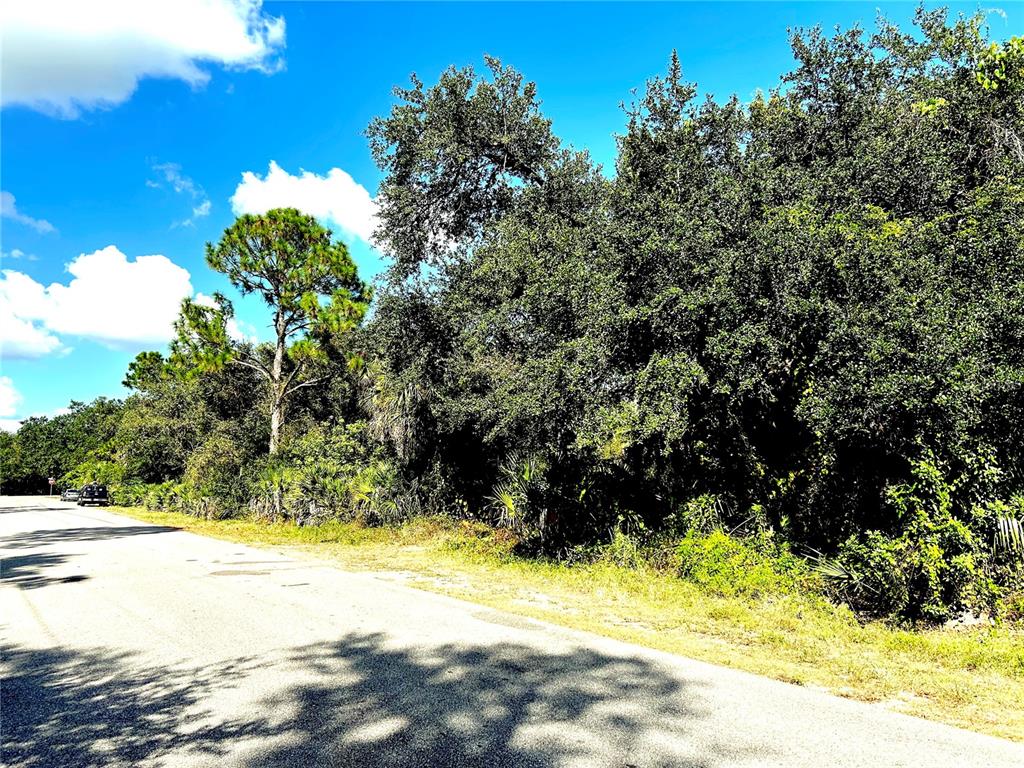 A paved road runs alongside a dense, wooded lot with various trees and shrubs — 1428 KENESAW STREET, PORT CHARLOTTE, FL