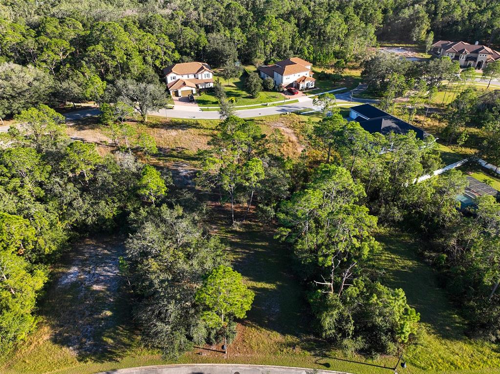 7180 OAK GLEN TRL, ST CLOUD, FL — photo 5 of 22