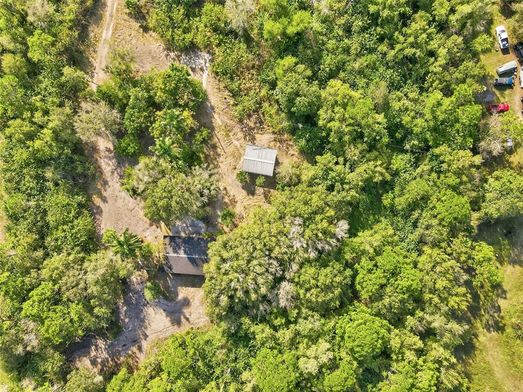 An aerial view shows two buildings surrounded by dense trees and a dirt driveway — 39970 LITTLE FARM ROAD, PUNTA GORDA, FL