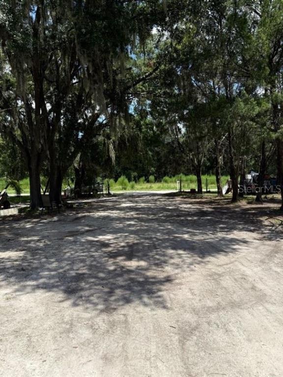 A dirt driveway leads through a wooded area toward an open field — 4543 COBB ROAD, LAND O LAKES, FL