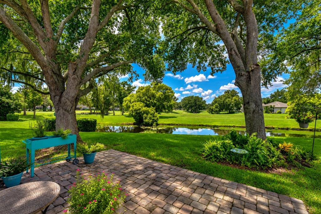 A brick patio overlooks a small pond and green lawn framed by two large trees — 5616 ROCKFIELD LOOP, VALRICO, FL