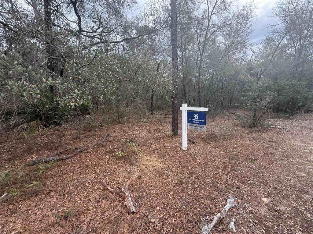 This is a satellite map view showing the intersection of local streets and wooded areas — 0 SE 3RD STREET STREET, INTERLACHEN, FL