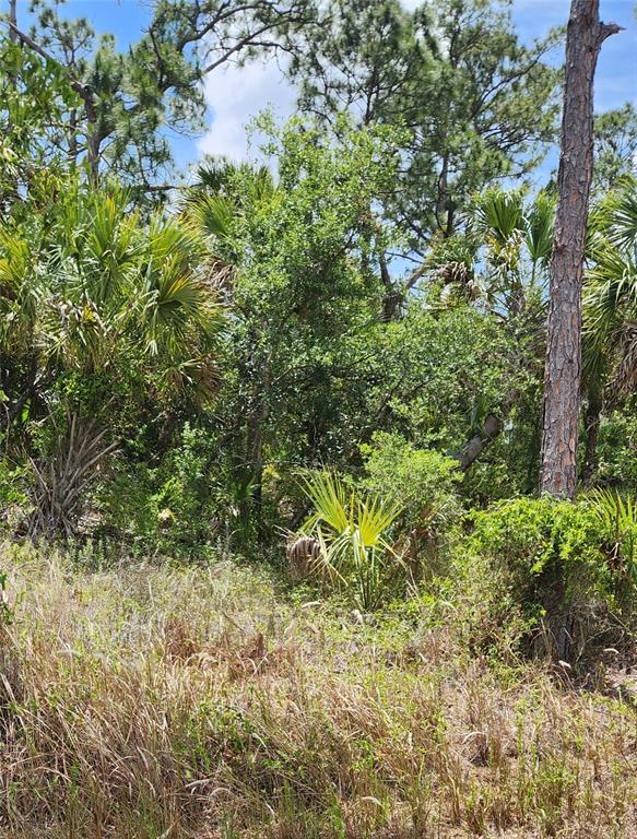 A wooded lot features tall pine trees, saw palmetto bushes, and dry grasses — INVERNESS STREET, NORTH PORT, FL