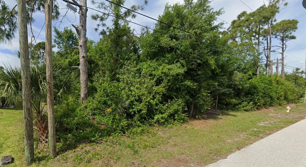 A vacant, heavily wooded residential lot sits beside a paved road with utility poles — 7483 REGINA DRIVE, ENGLEWOOD, FL