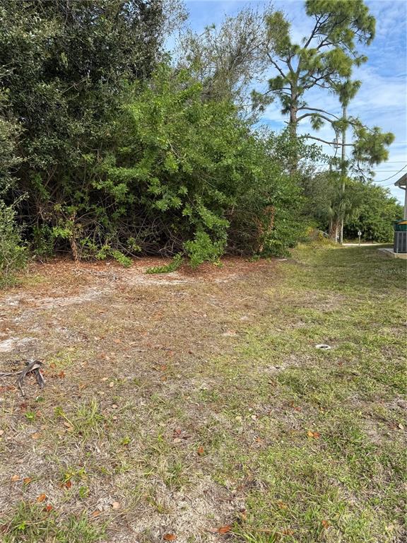 A grassy, undeveloped lot features dense trees and shrubs under a blue sky — 7483 REGINA DRIVE, ENGLEWOOD, FL