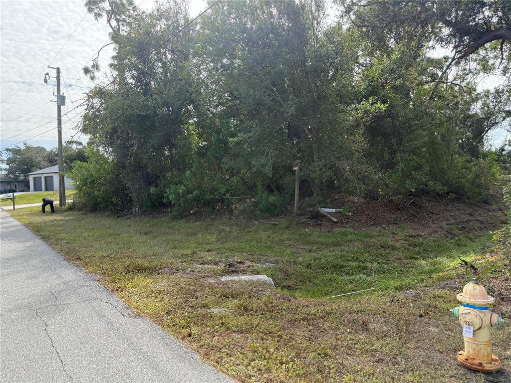 A vacant, tree-covered lot sits next to a paved road with a fire hydrant nearby — 7483 REGINA DRIVE, ENGLEWOOD, FL