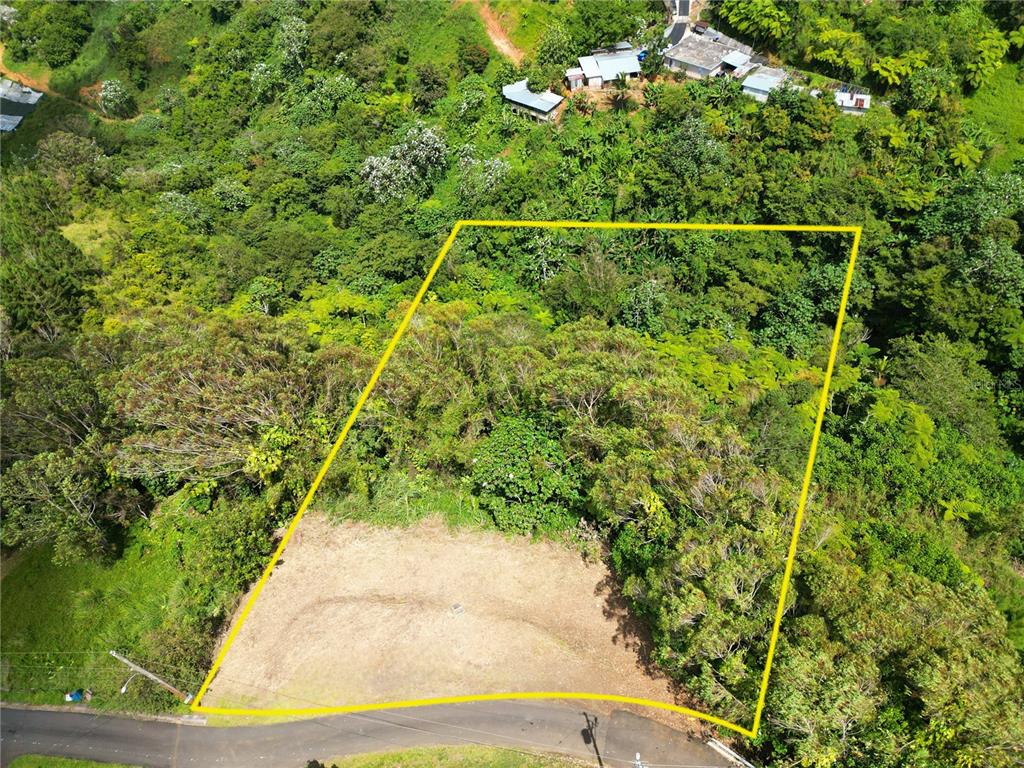 An aerial view shows a cleared, rectangular plot of land bordered by trees and a road — St. 809 CEDRO ARRIBA SECTOR SANTA TERESITA II UNIT 2, NARANJITO, PR