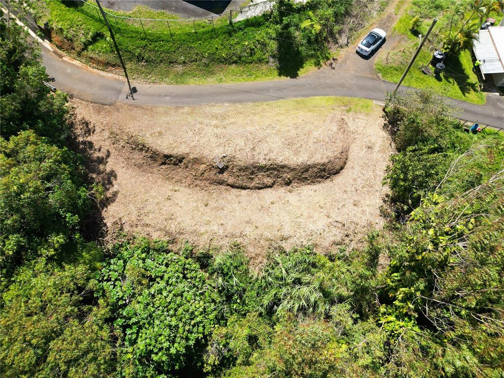 An aerial view shows a cleared, sloped plot of land bordered by trees and a road — St. 809 CEDRO ARRIBA SECTOR SANTA TERESITA II UNIT 2, NARANJITO, PR