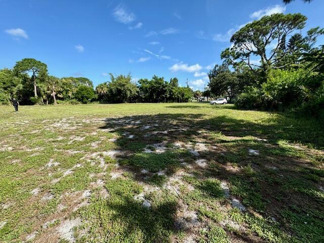 A large, grassy, undeveloped lot with scattered trees under a bright blue sky — 2350 Shenandoah Road NE, Palm Bay FL 32905, PALM BAY, FL