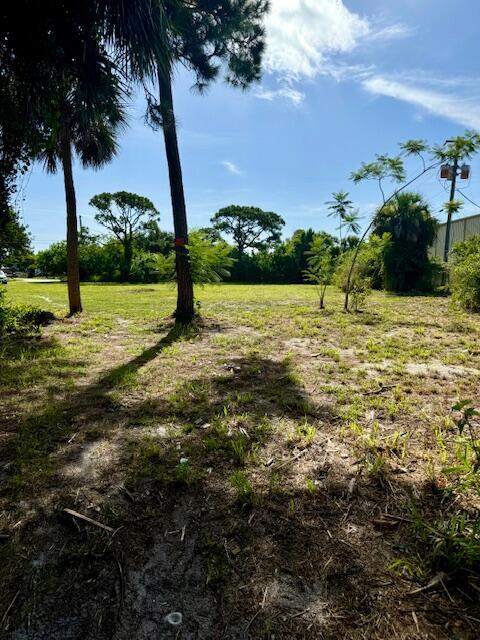 A grassy, partially shaded vacant lot with several trees under a bright blue sky — 2350 Shenandoah Road NE, Palm Bay FL 32905, PALM BAY, FL
