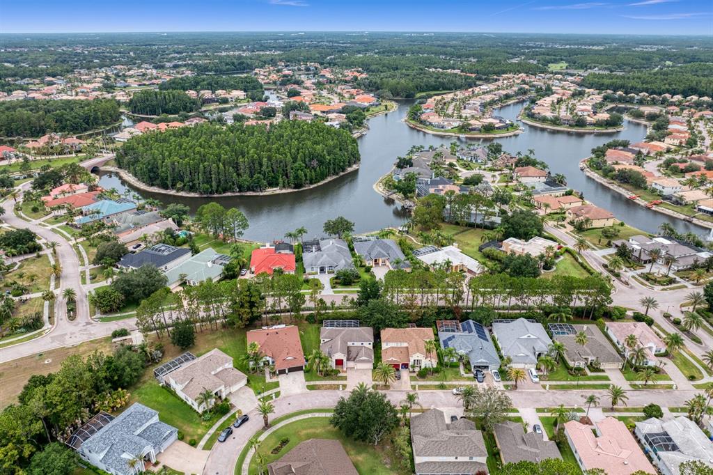 An aerial view shows suburban houses surrounding a large lake and a dense forest area — 10411 CANARY ISLE DRIVE, TAMPA, FL