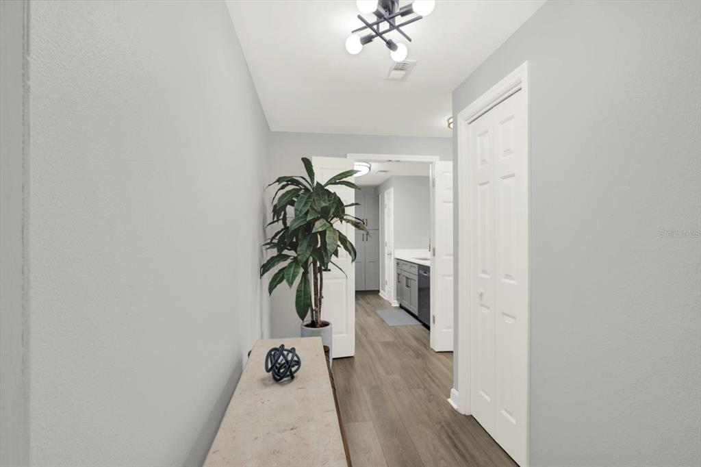 A hallway with light gray walls, wood-look flooring, a potted plant, and a white door — 345 BAYSHORE BOULEVARD UNIT 302, TAMPA, FL