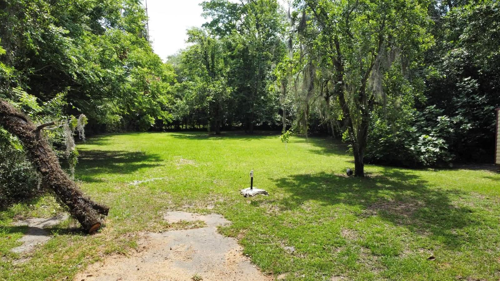 A large, grassy backyard is surrounded by mature trees and dense foliage — 25 Madison Street, FL 32324, FL