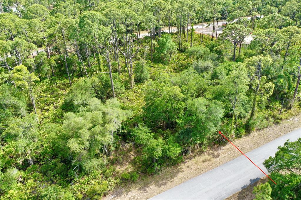 An aerial view shows a wooded, undeveloped lot bordering a paved road — 14051 STANFIELD AVENUE, PORT CHARLOTTE, FL
