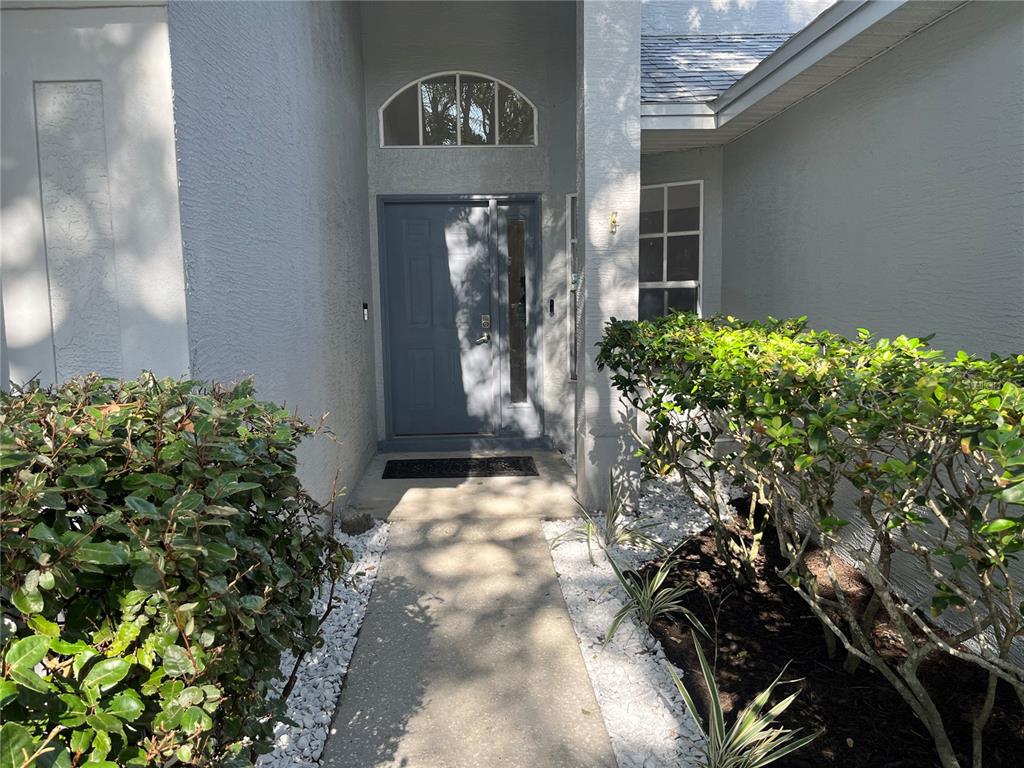 A concrete walkway leads to a gray front door with a sidelight and arched transom — 2930 SHANNON CIR, PALM HARBOR, FL
