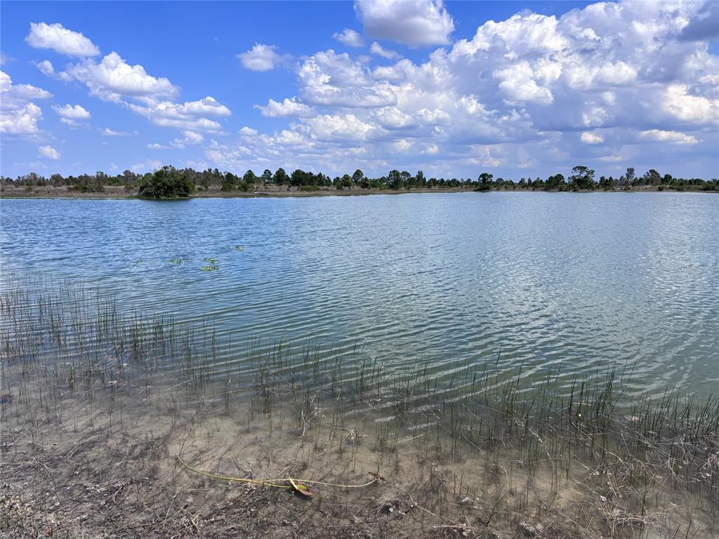 A view of a calm lake with grassy shorelines under a bright, cloudy sky — 48033 BERMONT ROAD, PUNTA GORDA, FL
