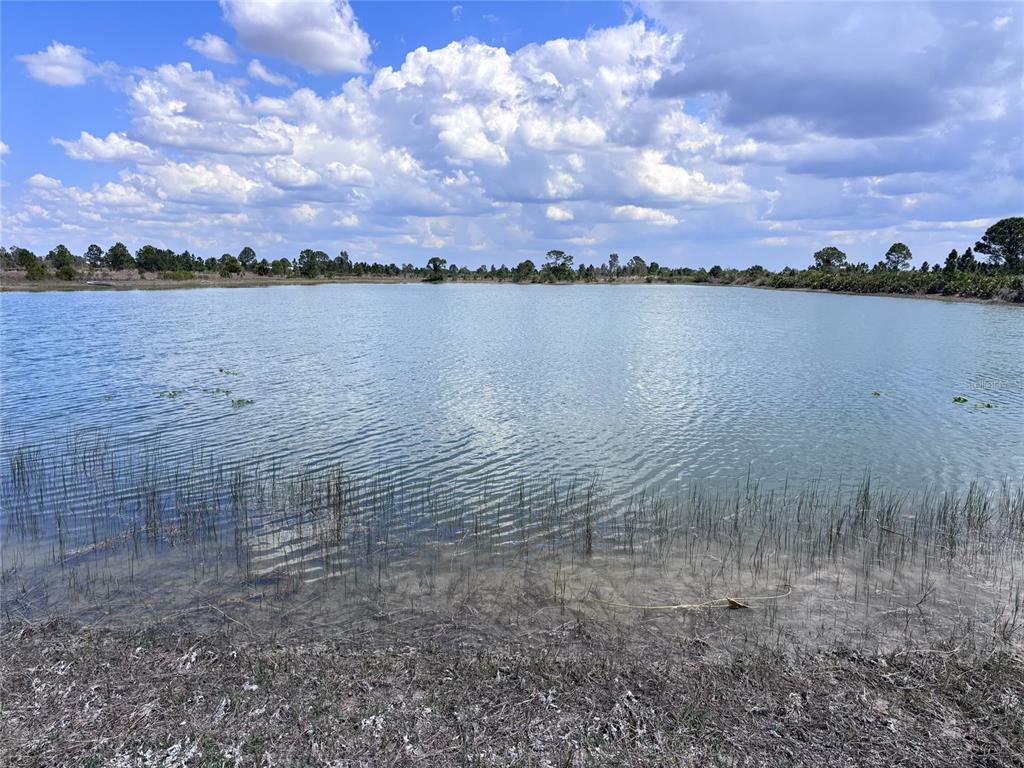 A view of a calm pond surrounded by grassy banks and scattered trees under clouds — 48033 BERMONT ROAD, PUNTA GORDA, FL