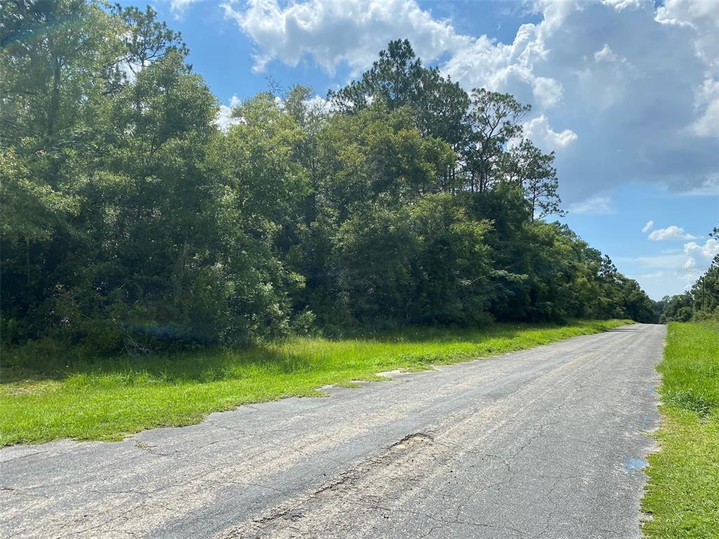 A paved road runs alongside a wooded lot under a blue sky with clouds — 8739 N UPLAND DRIVE, CITRUS SPRINGS, FL