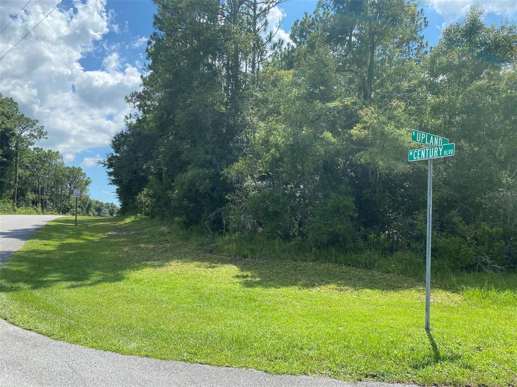 A street corner with a road sign at the edge of a wooded lot — 8739 N UPLAND DRIVE, CITRUS SPRINGS, FL