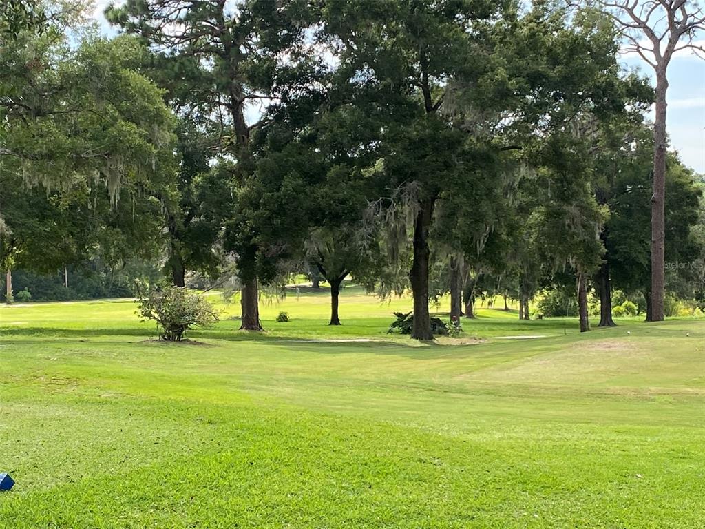 A view of a grassy golf course fairway lined with large, moss-draped oak trees — 8739 N UPLAND DRIVE, CITRUS SPRINGS, FL