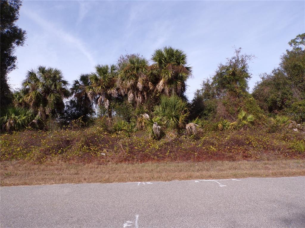 A view of a vacant, wooded lot viewed from an adjacent paved road — BREWSTER ROAD, NORTH PORT, FL