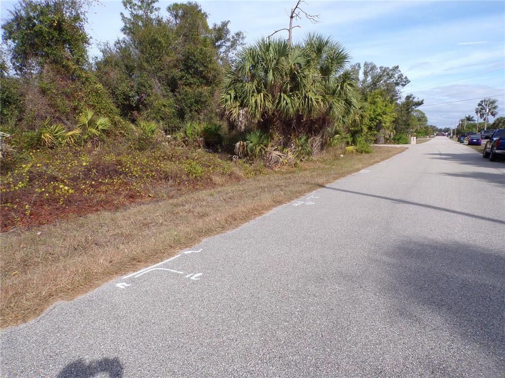 A paved road runs alongside a vacant, wooded lot with dense vegetation and palm trees — BREWSTER ROAD, NORTH PORT, FL