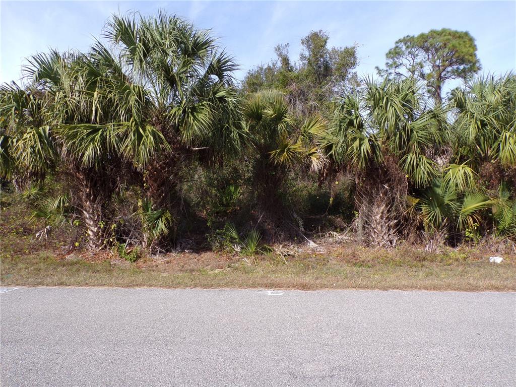 A row of palm trees stands along the edge of an asphalt road — BREWSTER ROAD, NORTH PORT, FL